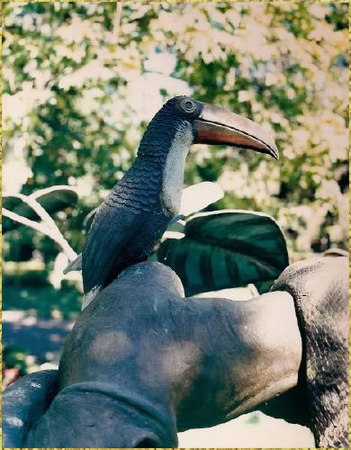 Toucan